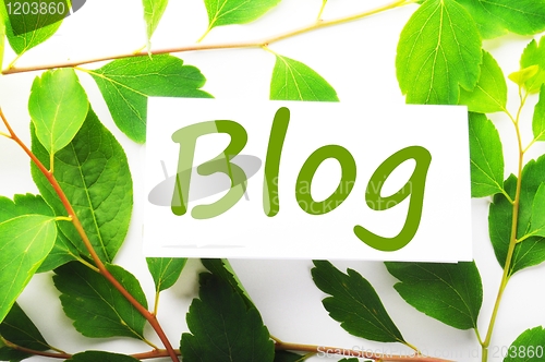 Image of blog