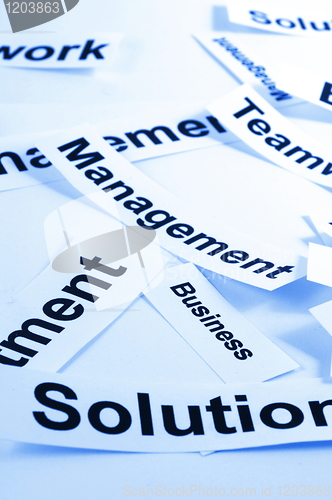 Image of management