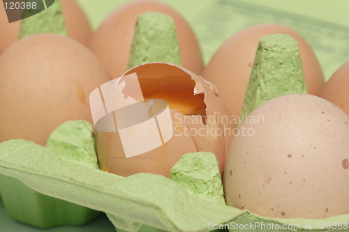 Image of Eggs