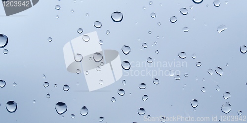 Image of Rain droplets