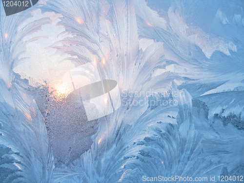 Image of frost and sun