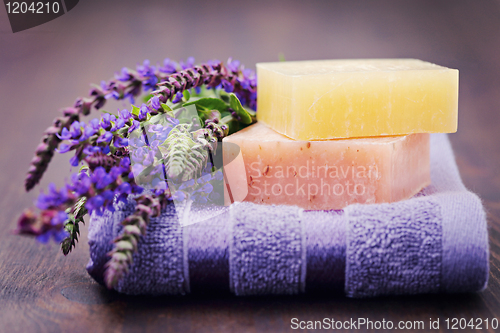 Image of sage soap