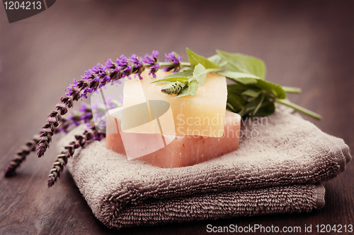 Image of sage soap