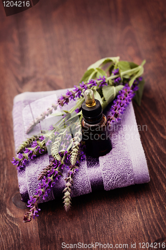 Image of sage essential oil