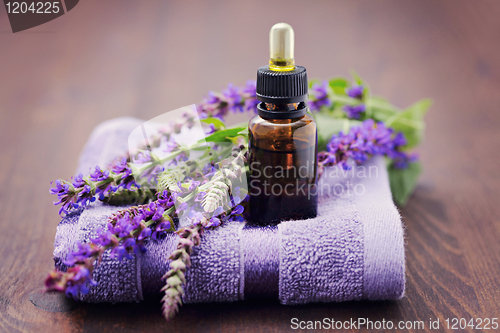 Image of sage essential oil