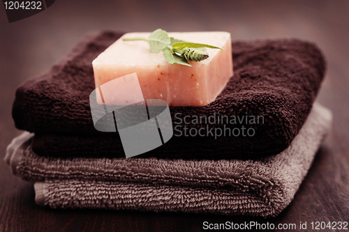 Image of sage soap