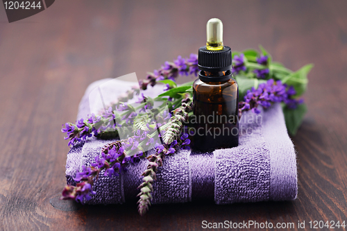 Image of sage essential oil