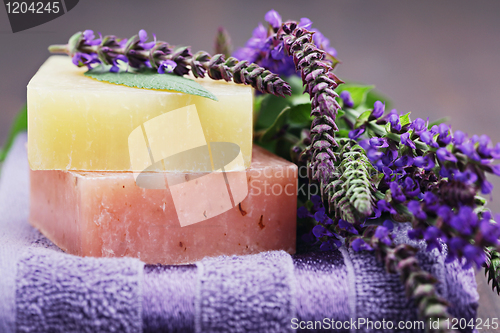 Image of sage soap