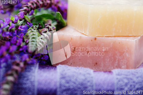 Image of sage soap