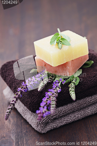 Image of sage soap