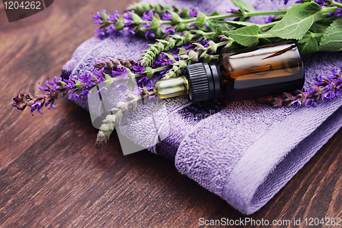 Image of sage essential oil