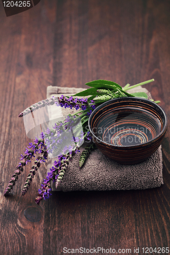 Image of sage alternative medicine