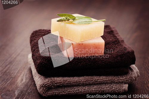 Image of sage soap