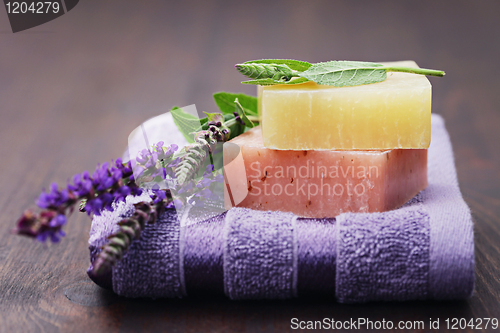 Image of sage soap