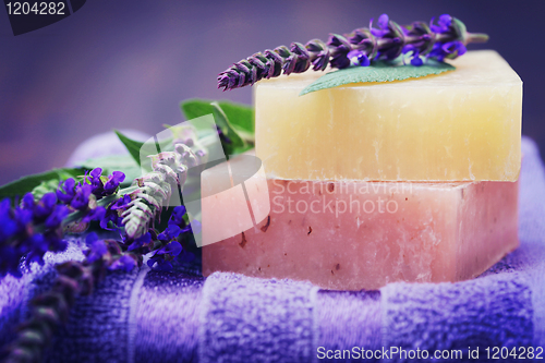 Image of sage soap