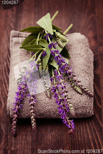 Image of fresh sage