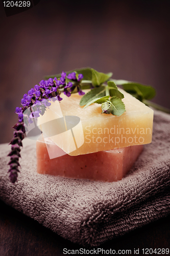 Image of sage soap