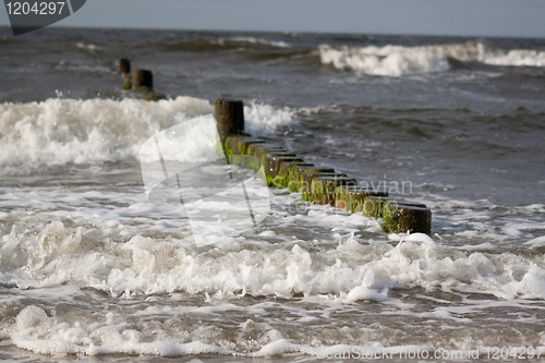 Image of wooden stakes at the beach