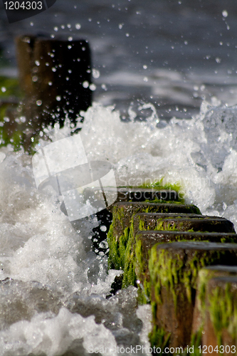 Image of wooden stakes at the beach