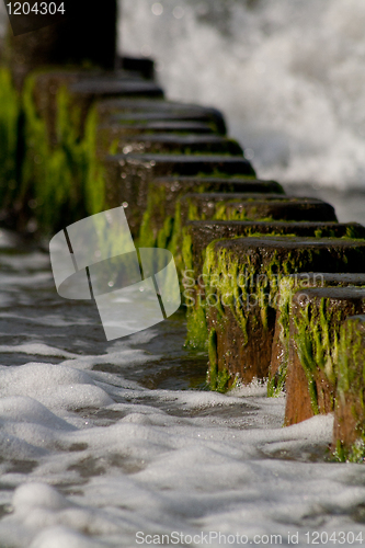 Image of wooden stakes at the beach