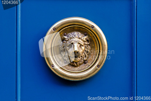 Image of Lion