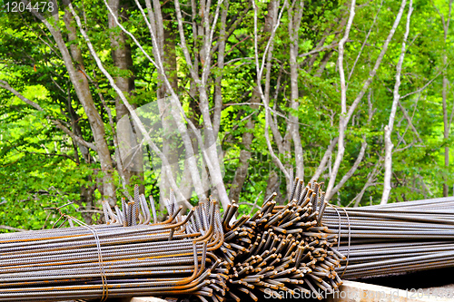 Image of Iron and tree