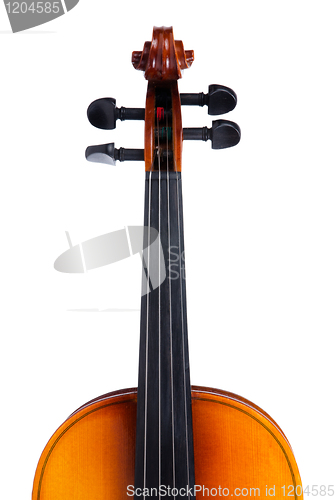 Image of Violin close up 