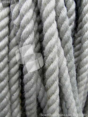 Image of Ropes