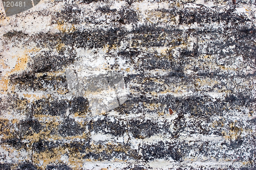 Image of Old brick wall texture