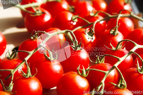 Image of cherry tomatoes