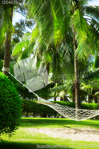 Image of Hammock 