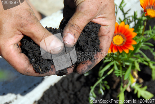 Image of Black soil