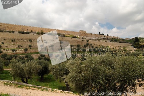 Image of View of the Kidron Valley and the Temple Mount in Jerusalem