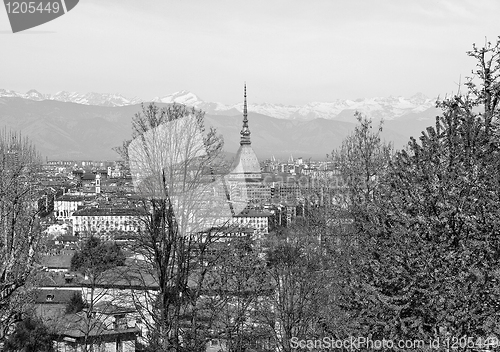 Image of Turin view