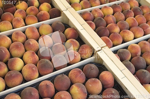 Image of Peaches