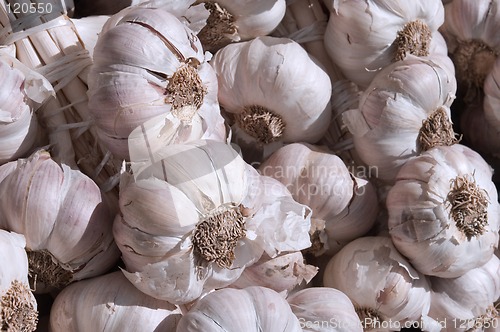 Image of Fresh garlic