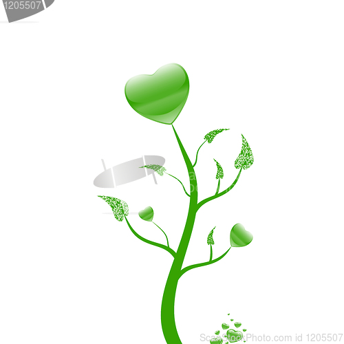 Image of Lovely tree