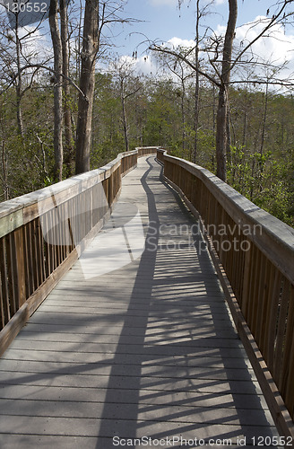 Image of Raised wooden boardwalk