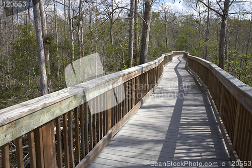 Image of Raised wooden boardwalk