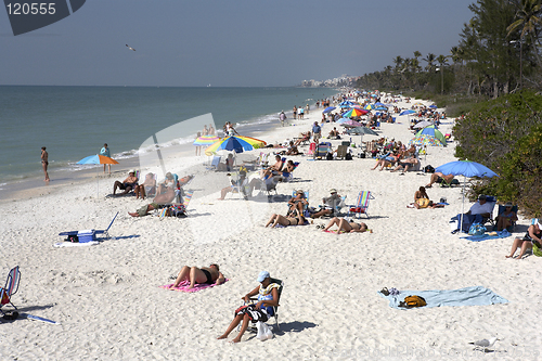 Image of view from naples pier