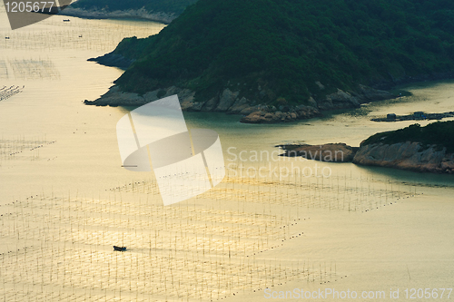 Image of Ocean seaweed farm in China