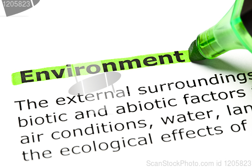 Image of 'Environment' highlighted in green