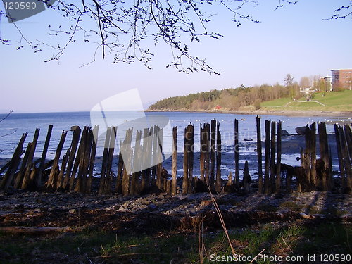 Image of Old fence