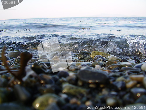 Image of Stone in the water