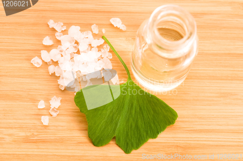 Image of fresh leaves ginko biloba essential oil and sea salt - beauty tr