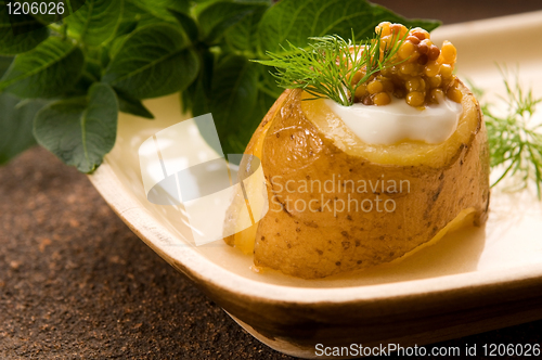 Image of Baked potato with sour cream, grain Dijon mustard and herbs