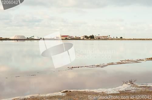 Image of Salt marsh