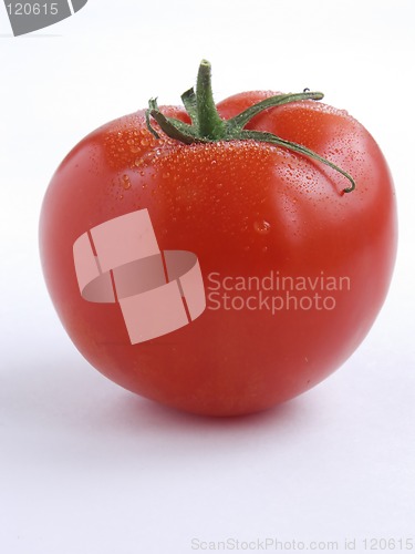 Image of Tomato portrait I