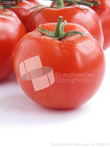 Image of Fresh tomatoes III