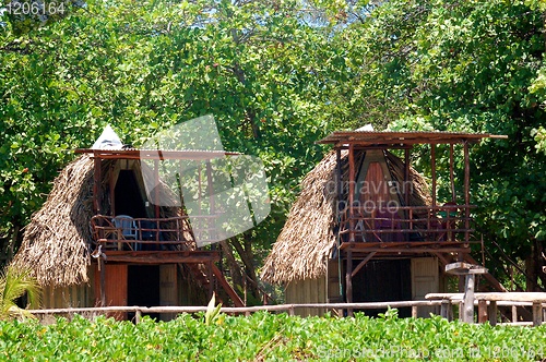 Image of houses in the rainforest